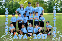 covenant_creations Team