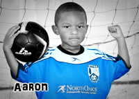aaron_brown_1