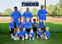 TIGERS