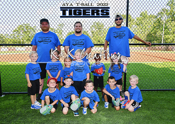 5X7 TIGERS TEAM