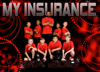 5x7 My Insurance 9-10 boys Team