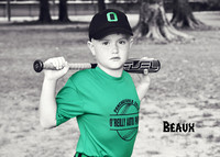 beaux pfeil_0779