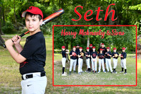 seth williams memory mate