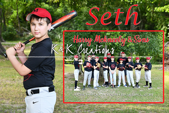 seth williams memory mate