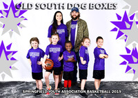 5X7 5-6 DANA OLD SOUTH DOG BOXES TEAM