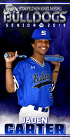 jaden carter senior banner
