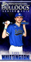 lance whittington senior banner