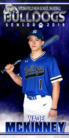 wade mckinney senior banner