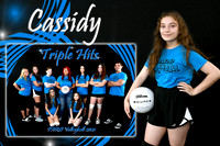 cassidy lemoine memory mate
