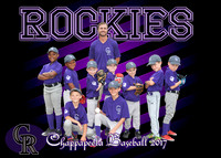 5X7 7 TO 8 ROCKIES TEAM PICTURE