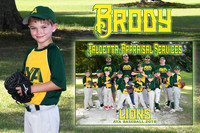 brody dephillips memory mate