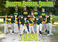 Faldetta Appraisal Services Coach Pitch Boys