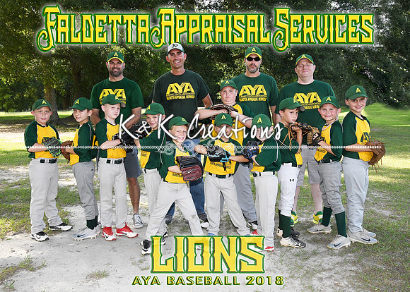 5x7 FALDETTA APPRAISAL LIONS TEAM AYA