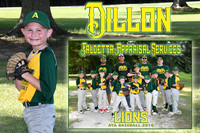 dillon sutton memory mate