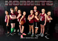 Girls 9-10 #6 Hornets- Seth Foster