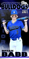 BRYAN BABB BANNER