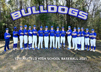 Springfield High Baseball 2021