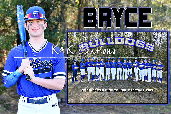 BRYCE VITTORIO MEMORY MATE