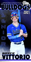 BRYCE VITTORIO BANNER