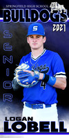 logan lobell banner