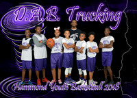 5X7 DAB TRUCKING 11-13 TREY THOMAS TEAM