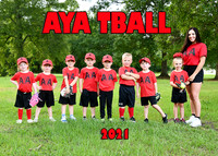 TBall 3-4 Team #5 Coach Dakota