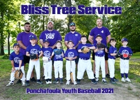 5x7 6cp bliss tree service team