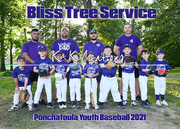 5x7 6cp bliss tree service team