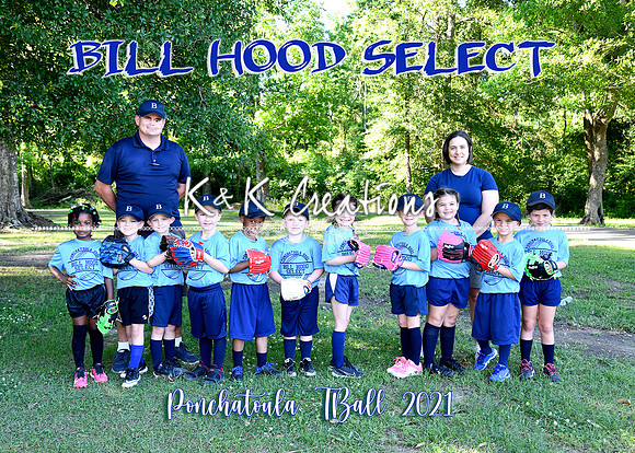 5X7 TBALL BILL HOOD SELECT TEAM