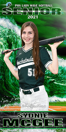 sydnie mcgee banner