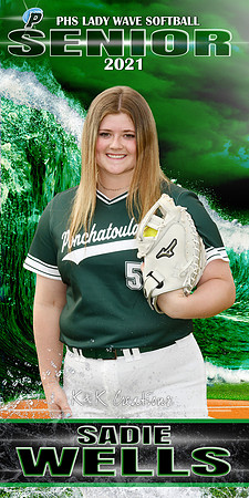 SADIE WELLS BANNER