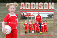 ADDISON MCCAMMON MEMORY MATE