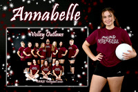 annabelle mcalister memory mate