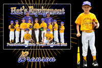 branson_sheridan_mm