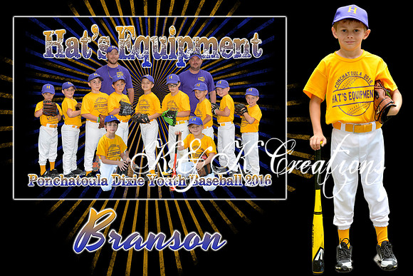 branson_sheridan_mm