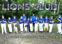 9/10 Lions Club