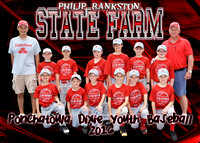 PHILIP BANKSTON STATE FARM