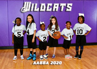 WILDCATS