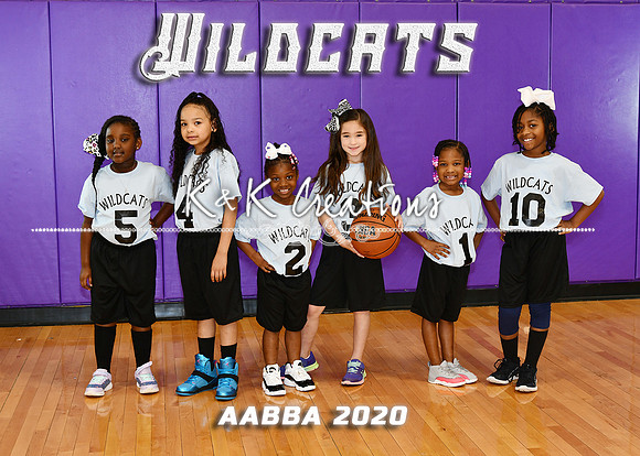 5X7 AABBA WILDCATS TEAM