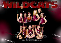 Girls 9-10 Team 2 Wildcats