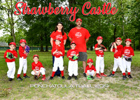 TBALL Strawberry Castle
