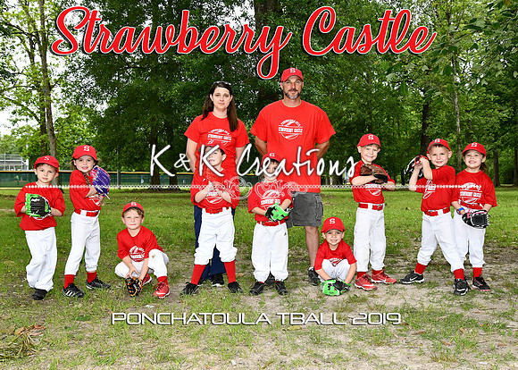 5x7 strawberry castle tball team