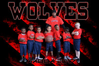 8x12 WOLVES TEAM AABBA 2017