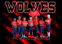 WOLVES