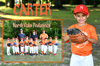 CARTER PERRY MEMORY MATE