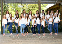 5X7 DSFH CHEER TEAM 3