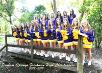 5x7 DSFH CHEER TEAM 2