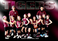 5x7 girls 7-8 #1 Tigers team