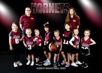 5X7 GIRLS4-5-6 HORNETS HANO TEAM