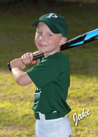 jake_stock_2